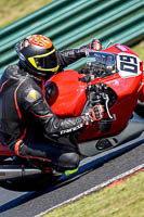 Advanced Group Red Bikes